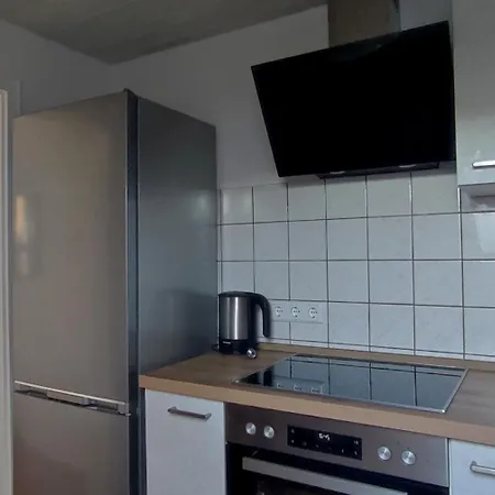 Apartment Aviva - Urlaub In Unmittelbarer Seenähe Bodman-Ludwigshafen